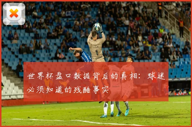世界杯盘口数据背后的真相：球迷必须知道的残酷事实