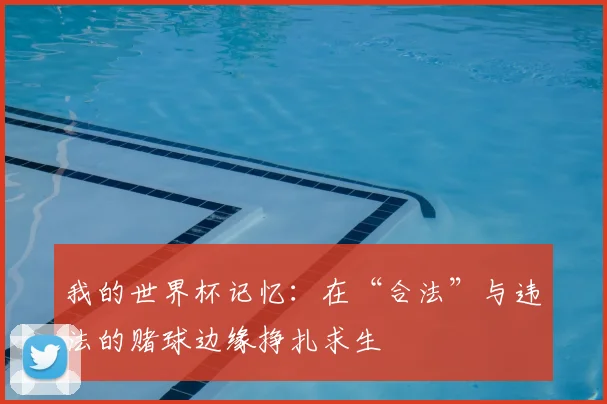 我的世界杯记忆：在“合法”与违法的赌球边缘挣扎求生