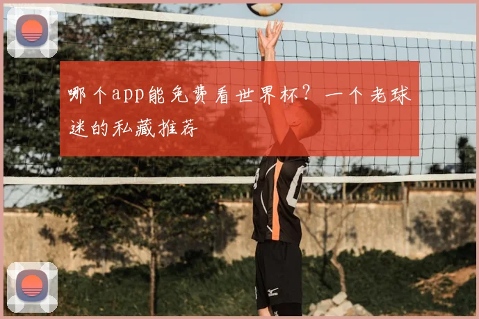 哪个app能免费看世界杯?一个老球迷的私藏推荐
