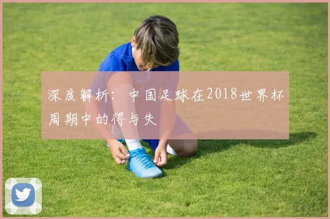 深度解析:中国足球在2018世界杯周期中的得与失