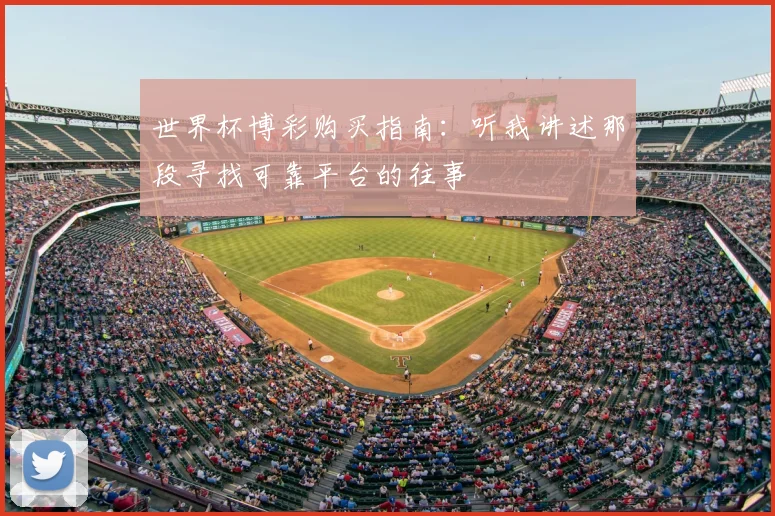 世界杯博彩购买指南：听我讲述那段寻找可靠平台的往事