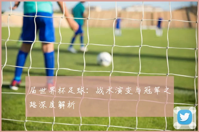 届世界杯足球：战术演变与冠军之路深度解析