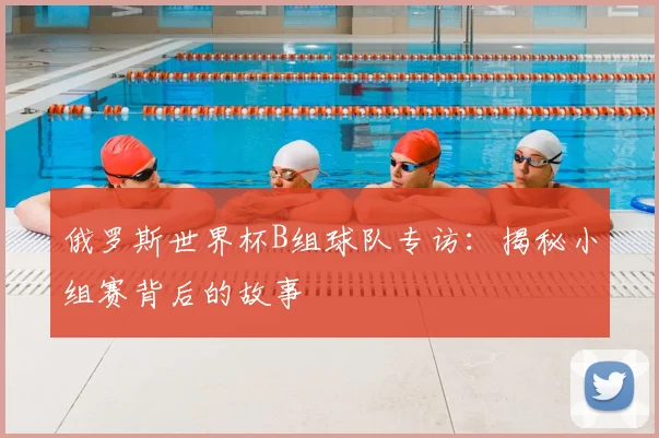 俄罗斯世界杯B组球队专访：揭秘小组赛背后的故事